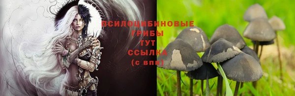 твердый Краснотурьинск