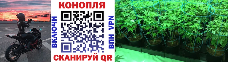 Купить закладки  Темников  Шишки марихуана марихуана 